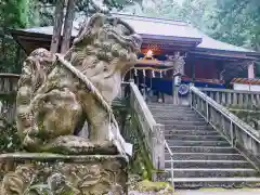 早池峯神社の狛犬