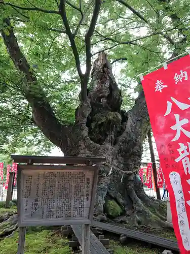 秩父今宮神社の歴史