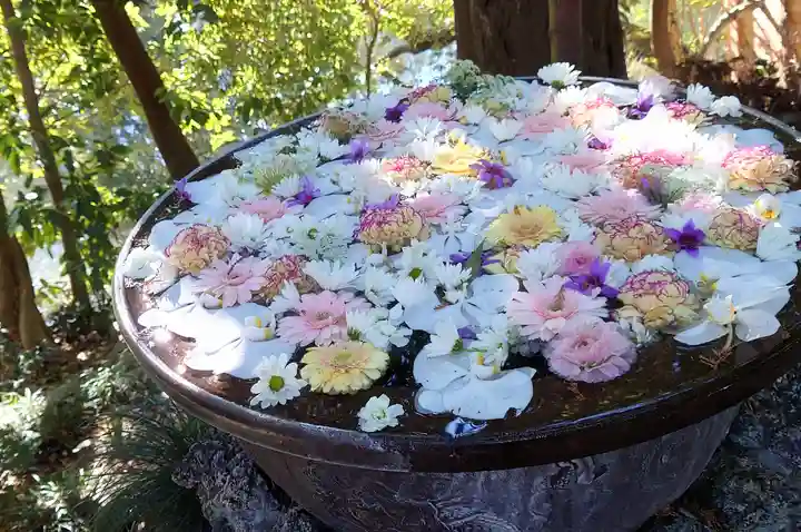 武蔵一宮氷川神社(埼玉県)