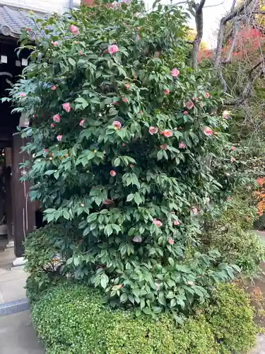 立法寺(東京都)