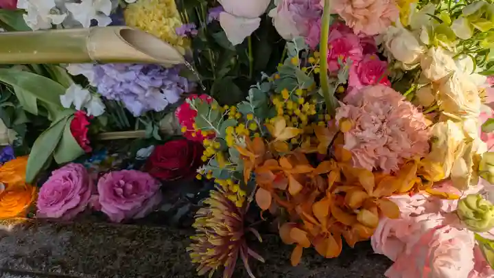 勝林寺(京都府)