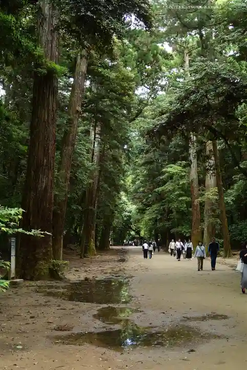 鹿島神宮(茨城県)