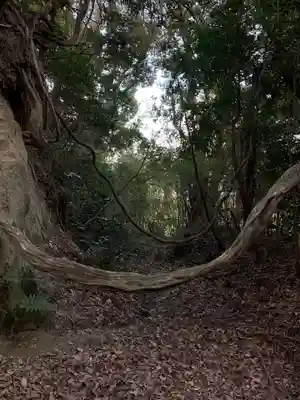 日吉神社の自然