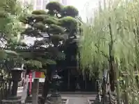 頂法寺(六角堂)の自然