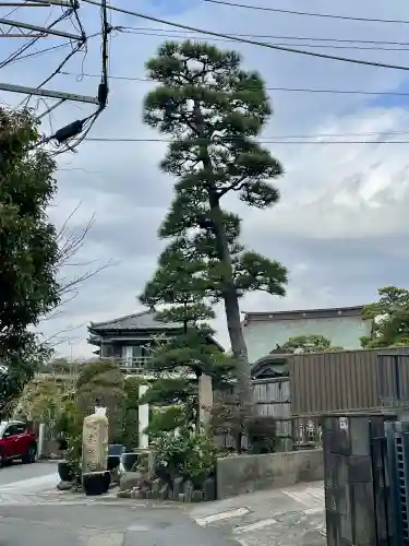 日蓮宗龍口山本龍寺の{uncategorized: "未分類", other: "その他", undefined: "問題あり", building: "その他建物", grave: "お墓", sacred_gate: "鳥居", guardian: "狛犬", statue: "像", buddha: "仏像", history: "歴史", nature: "自然", garden: "庭園", animal: "動物", pagoda: "塔", temizu: "手水舎", mountain_gate: "山門・神門", sanctuary: "本殿・本堂", subordinate: "末社・摂社", art: "芸術", scenery: "景色", jizo: "地蔵", ema: "絵馬", goshuin: "御朱印", omikuji: "おみくじ", items: "授与品その他", amulet: "お守り", goshuincho: "御朱印帳", eats: "食事", festival: "お祭り", votive_dance: "神楽", shichigosan: "七五三参", wedding: "結婚式", experience: "体験その他", initially: "初詣", around: "周辺", anti_infection: "感染症対策"}