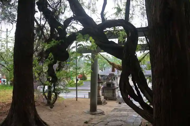 春日神社の景色