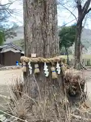 新宮八幡神社(兵庫県)