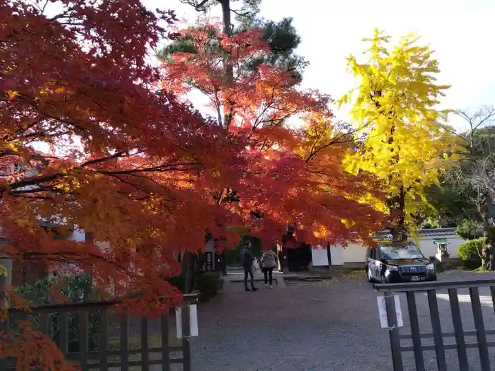 廬山寺(廬山天台講寺)(京都府)