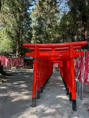 大田原伏見稲荷神社(栃木県)