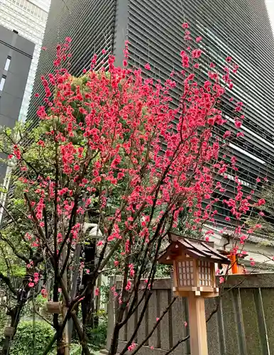 福徳神社（芽吹稲荷）の自然