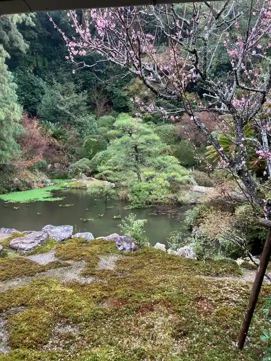 本興寺(静岡県)