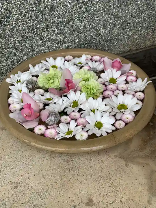 大長寺(埼玉県)