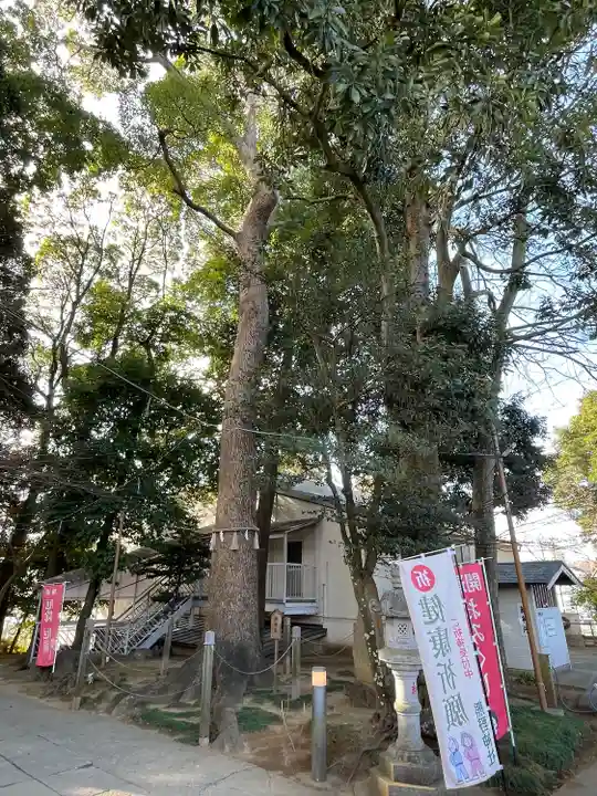 金ヶ作熊野神社(千葉県)