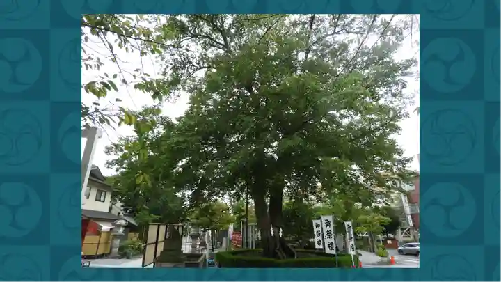 鎮守氷川神社(埼玉県)