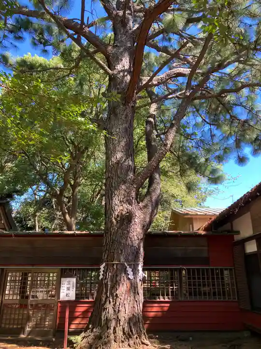 前原御嶽神社(千葉県)