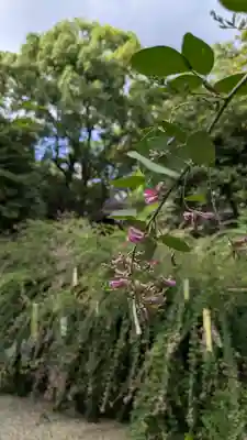 梨木神社(京都府)