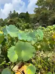 東輪寺(栃木県)