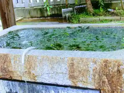 柏神社の手水舎