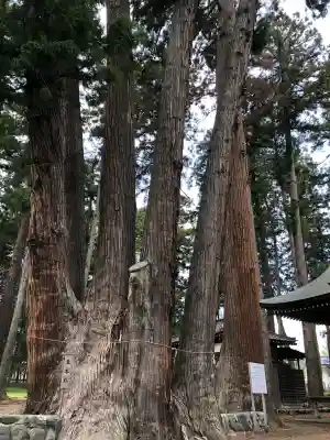 天神中條天満宮の{uncategorized: "未分類", other: "その他", undefined: "問題あり", building: "その他建物", grave: "お墓", sacred_gate: "鳥居", guardian: "狛犬", statue: "像", buddha: "仏像", history: "歴史", nature: "自然", garden: "庭園", animal: "動物", pagoda: "塔", temizu: "手水舎", mountain_gate: "山門・神門", sanctuary: "本殿・本堂", subordinate: "末社・摂社", art: "芸術", scenery: "景色", jizo: "地蔵", ema: "絵馬", goshuin: "御朱印", omikuji: "おみくじ", items: "授与品その他", amulet: "お守り", goshuincho: "御朱印帳", eats: "食事", festival: "お祭り", votive_dance: "神楽", shichigosan: "七五三参", wedding: "結婚式", experience: "体験その他", initially: "初詣", around: "周辺", anti_infection: "感染症対策"}