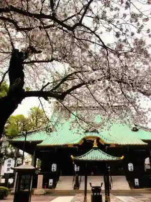 妙法寺(東京都)