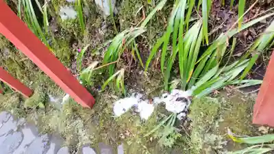 貴船神社(京都府)