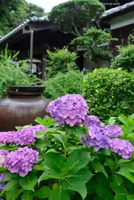 妙楽寺(神奈川県)