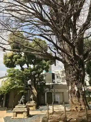 鳩森八幡神社(東京都)