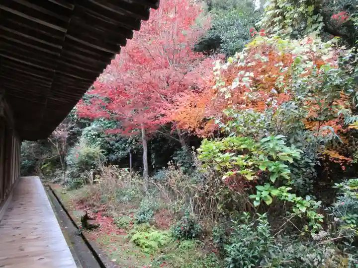 浄瑠璃寺(京都府)