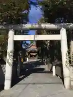 猿田彦神社の鳥居