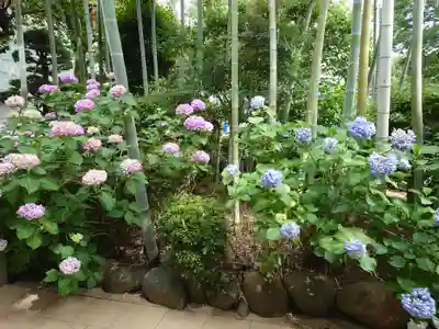 鈴鹿明神社(神奈川県)