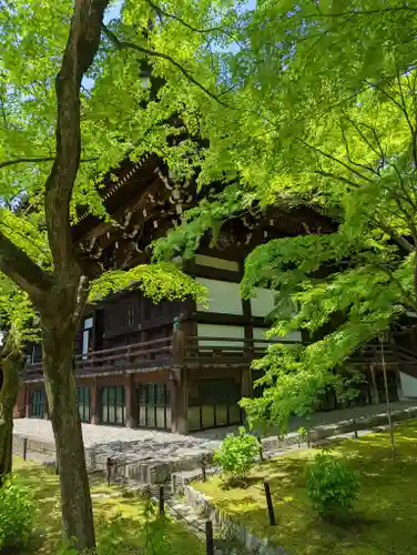 真正極楽寺（真如堂）(京都府)