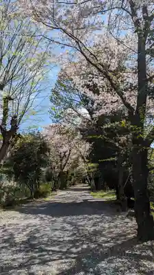 雙栗神社(京都府)