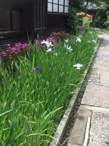 海蔵寺のその他建物