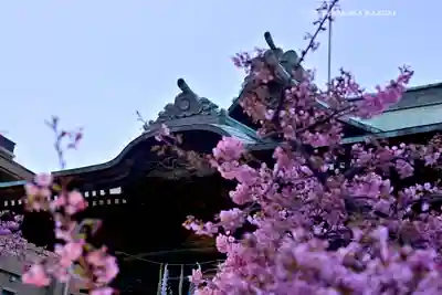 桜神宮(東京都)
