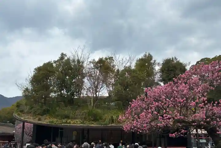 太宰府天満宮の{uncategorized: "未分類", other: "その他", undefined: "問題あり", building: "その他建物", grave: "お墓", sacred_gate: "鳥居", guardian: "狛犬", statue: "像", buddha: "仏像", history: "歴史", nature: "自然", garden: "庭園", animal: "動物", pagoda: "塔", temizu: "手水舎", mountain_gate: "山門・神門", sanctuary: "本殿・本堂", subordinate: "末社・摂社", art: "芸術", scenery: "景色", jizo: "地蔵", ema: "絵馬", goshuin: "御朱印", omikuji: "おみくじ", items: "授与品その他", amulet: "お守り", goshuincho: "御朱印帳", eats: "食事", festival: "お祭り", votive_dance: "神楽", shichigosan: "七五三参", wedding: "結婚式", experience: "体験その他", initially: "初詣", around: "周辺", anti_infection: "感染症対策"}