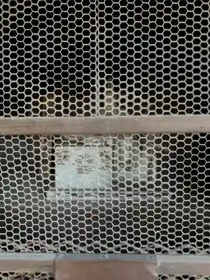 大宮諏訪神社(長野県)