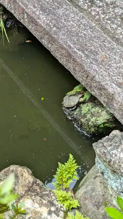 宝蔵寺(京都府)