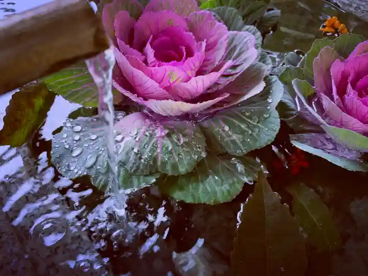 滑川神社 - 仕事と子どもの守り神の手水舎