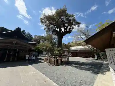 井伊谷宮の{uncategorized: "未分類", other: "その他", undefined: "問題あり", building: "その他建物", grave: "お墓", sacred_gate: "鳥居", guardian: "狛犬", statue: "像", buddha: "仏像", history: "歴史", nature: "自然", garden: "庭園", animal: "動物", pagoda: "塔", temizu: "手水舎", mountain_gate: "山門・神門", sanctuary: "本殿・本堂", subordinate: "末社・摂社", art: "芸術", scenery: "景色", jizo: "地蔵", ema: "絵馬", goshuin: "御朱印", omikuji: "おみくじ", items: "授与品その他", amulet: "お守り", goshuincho: "御朱印帳", eats: "食事", festival: "お祭り", votive_dance: "神楽", shichigosan: "七五三参", wedding: "結婚式", experience: "体験その他", initially: "初詣", around: "周辺", anti_infection: "感染症対策"}