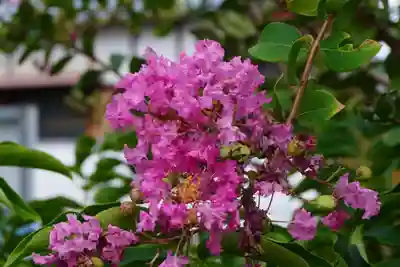 大松禅寺(京都府)