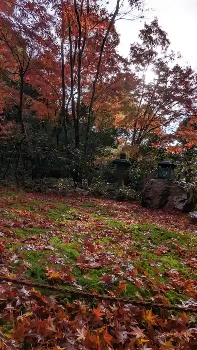 来迎院(京都府)