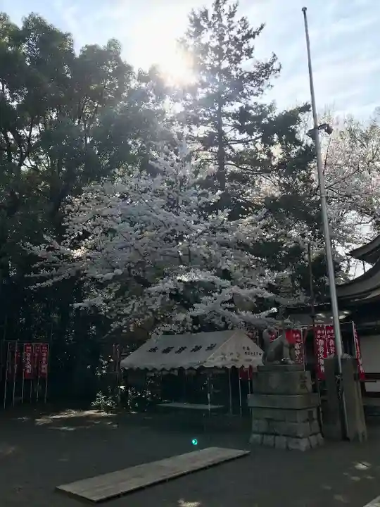 水稲荷神社(東京都)