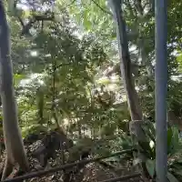 熊野神社(東京都)