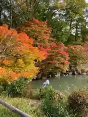 匠神社の自然