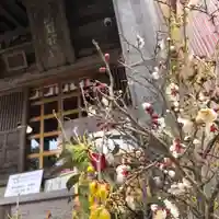 高司神社〜むすびの神の鎮まる社〜(福島県)