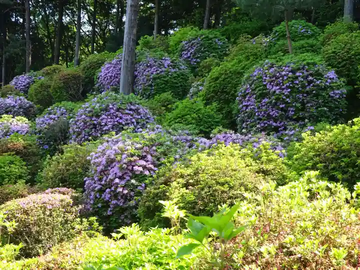 塩船観音寺の自然