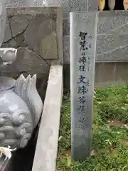 東光寺の建物その他