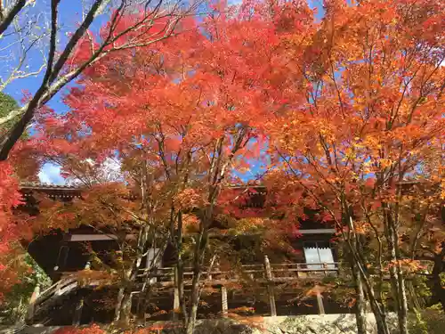 播州清水寺の自然