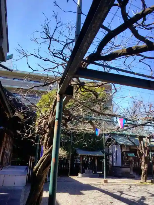 國領神社(東京都)
