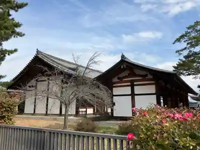 法隆寺(奈良県)